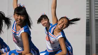 チアダンス_1／Japanese Cheerleading