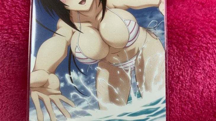 紹介動画129 セキレイ　ゲーム購入特典　テレカ　水着　巨乳イラスト