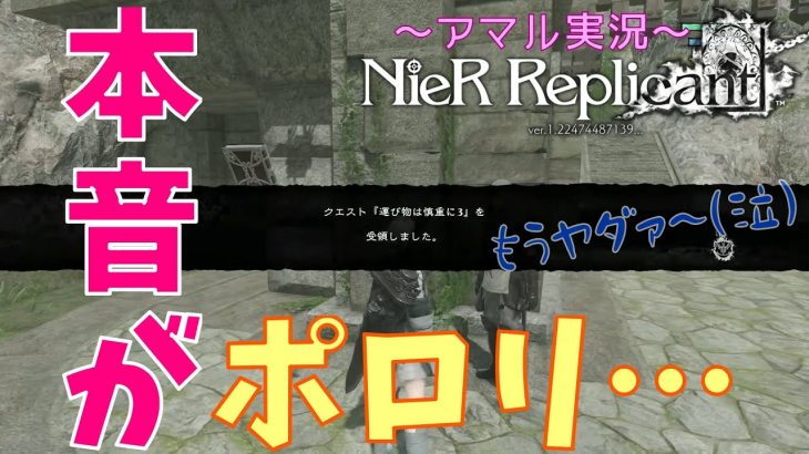 アマルさんの本音(心の叫び)がポロリ。【ニーアレプリカント/NieR Replicant ver.1 22】