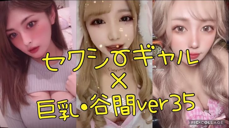 【TikTok】厳選セクシーギャル　巨乳・胸チラver３５
