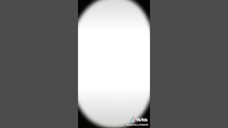 【tictok】パーカーのチャックを下ろしたらノーブラ