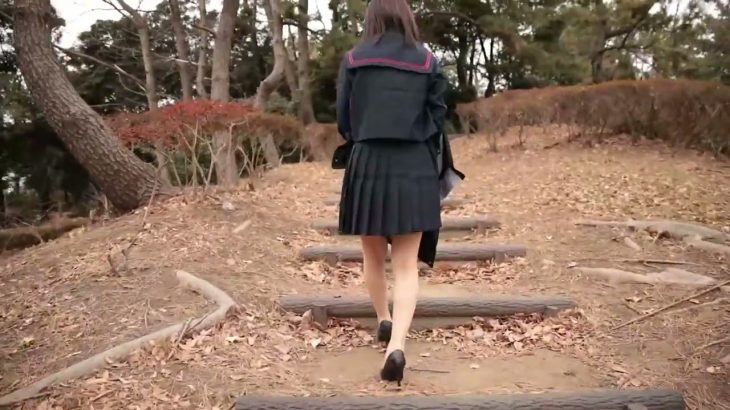 階段を登っている最中のスカートからのパンチラ