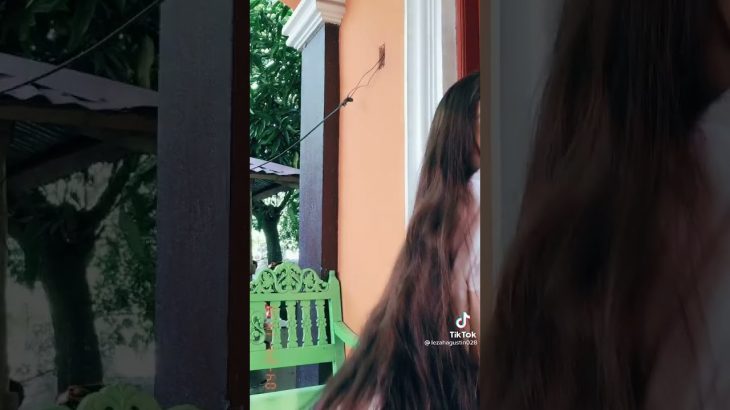 ぼちぼち　ノーブラ