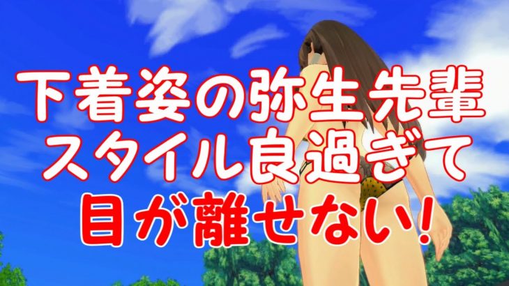 おいらの趣味はパンチラ写真を撮る事ｯス！2