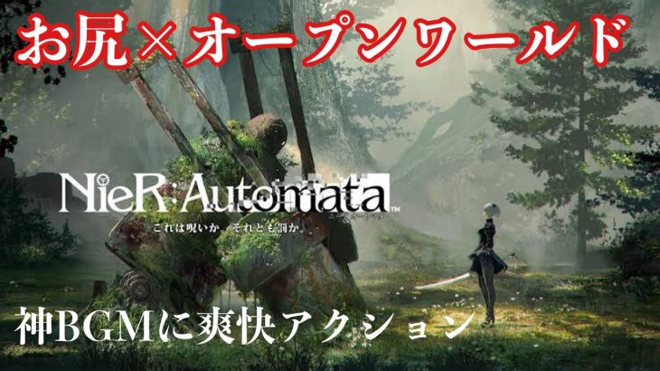 #2 お尻とパンチラが凄い…[ニーアオートマタ] 荒廃した地球探索、神BGMに豪華声優陣、シリーズ初見実況プレイ！まったり系低音ボイスがやる