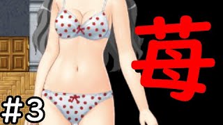 ポロリしかないゲーム【村娘クエスト】#3