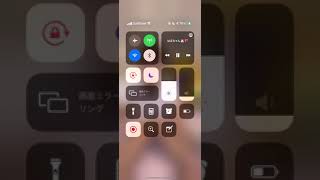 TikTok ライブ パンチラ