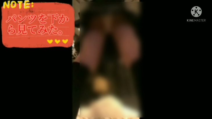 【女子高生】パンツを下から見ると…【YouTubeに消された動画】