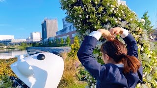 【巨乳】病名恋ワズライ踊ってみた