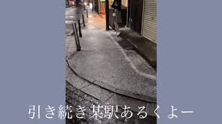 マッサージアルヨ地区探検(後編) #マッサージ　#メンエス　#メンズエステ