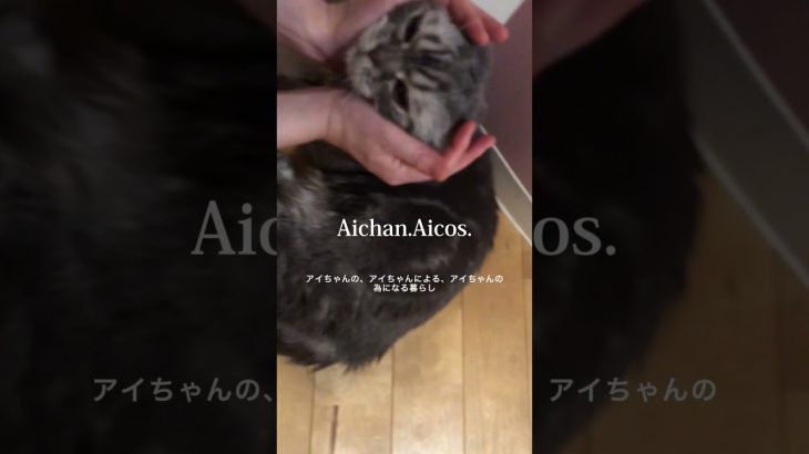 【フェイシャルエステ】高級サロン並みのエステのご感想は…。