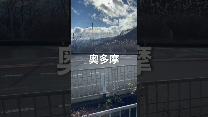 女子ライダーの朝は早い【97日後にレザーパンツを買うバイク女子】#shorts #バイク女子