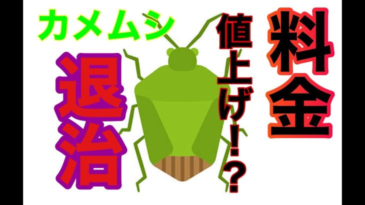 【料金値上げ?】金髪太朗カメムシ退治【もかセラピスト】#RtoB#札幌メンズエステ#メンズエステ#白石区