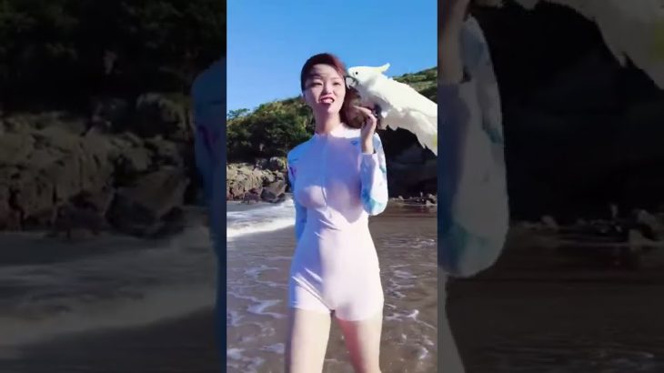 美少女 TikTok 552＃胸チラ＃パンツ#胸ちら#Shorts