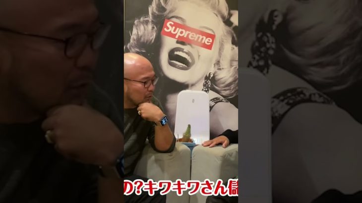 メンズエステに文句言ったらケツモチが出てきた