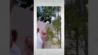 ノーブラノーパン写り込みチャレンジ🙌