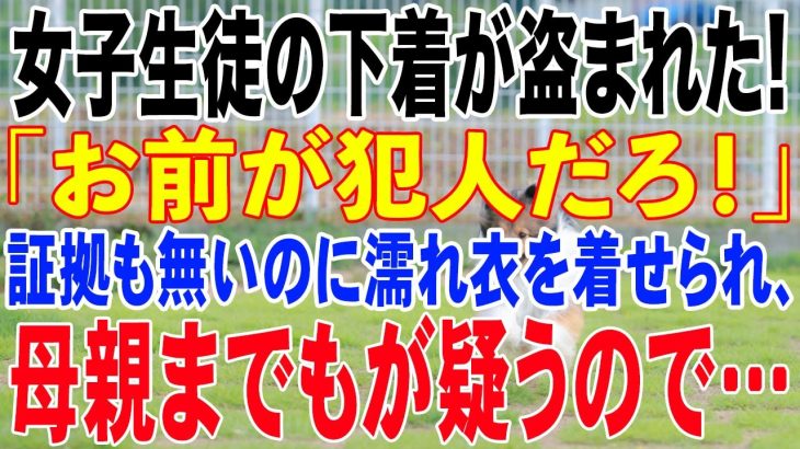 【修羅場】女子生徒の下着が盗まれた!「お前が犯人だろ!」証拠も無いのに濡れ衣を着せられ、母親までもが疑うので…